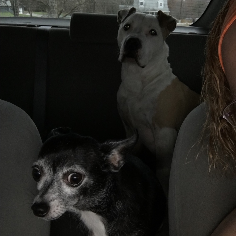 Meet your Posher, Tonya